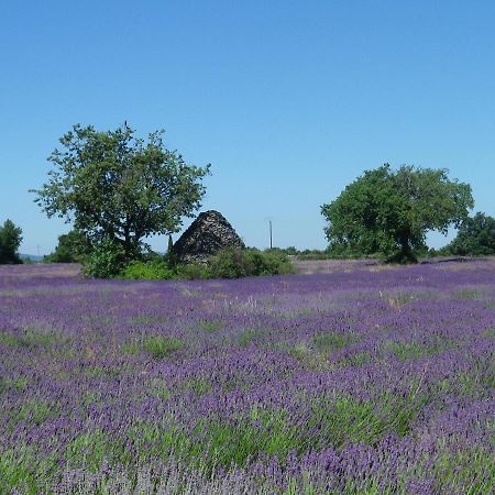 La Mordoree La Motte-d'Aigues 外观 照片