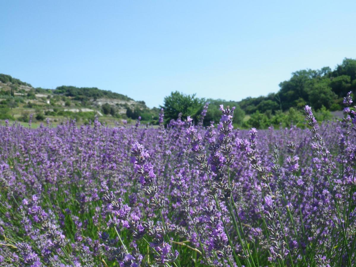 La Mordoree La Motte-d'Aigues 外观 照片