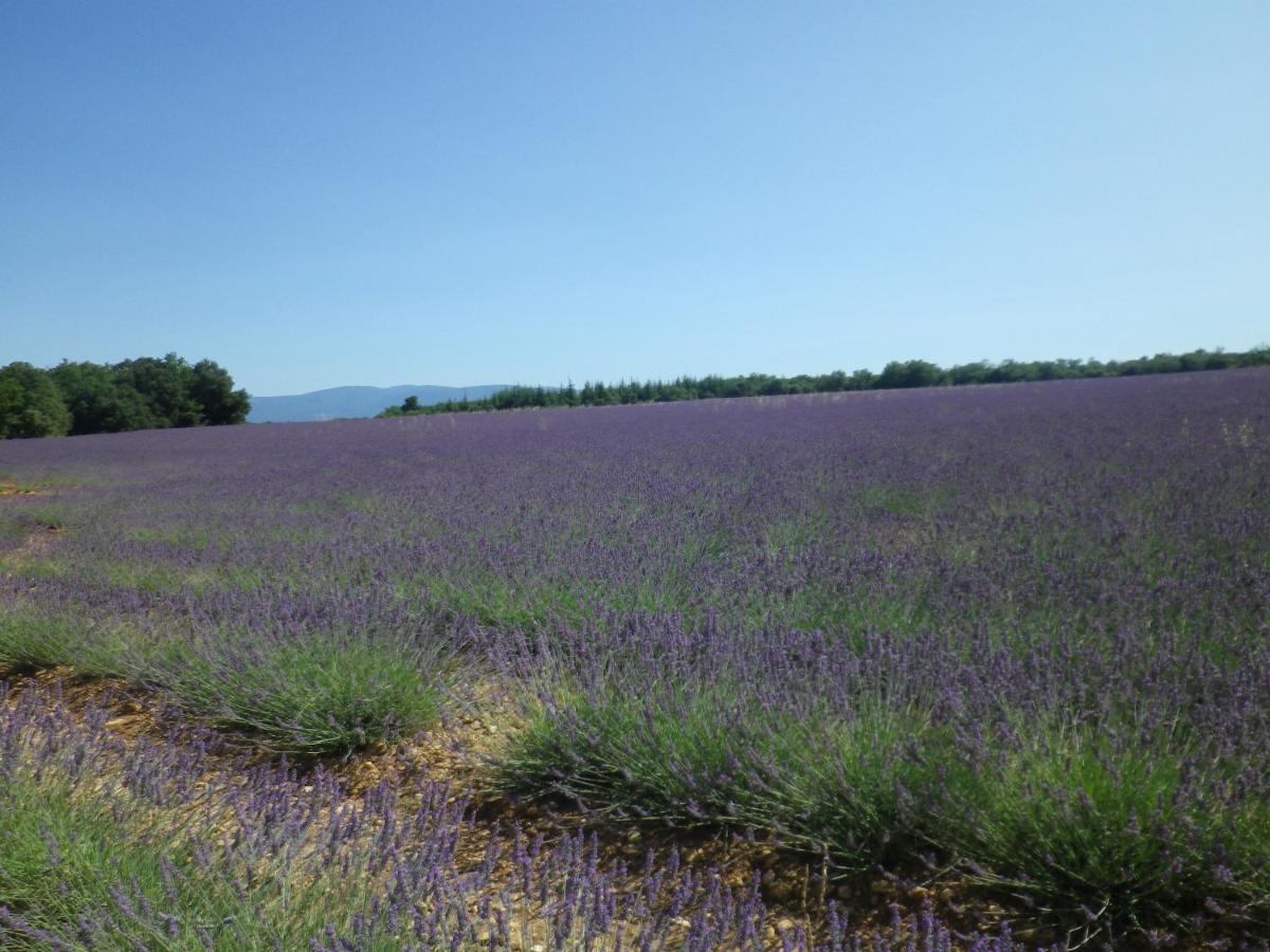 La Mordoree La Motte-d'Aigues 外观 照片