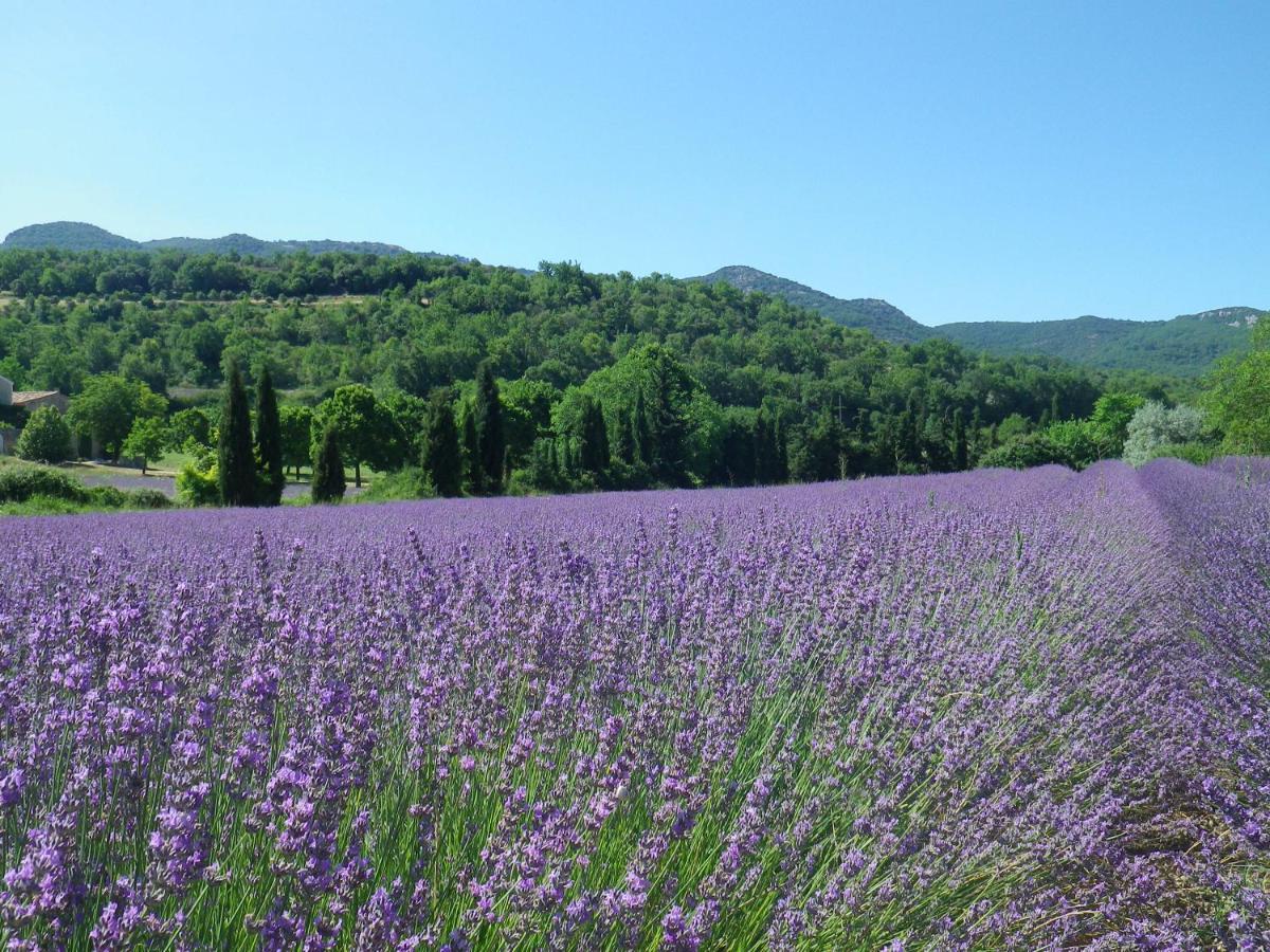 La Mordoree La Motte-d'Aigues 外观 照片